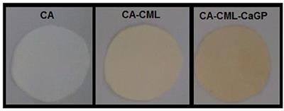 Additives Incorporated in Cellulose Acetate Membranes to Improve Its Performance as a Barrier in Periodontal Treatment